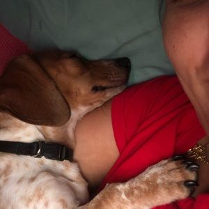 Meet your Posher, Jackeline